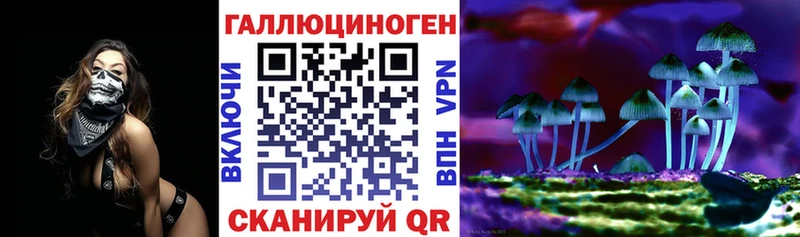 kraken онион  Оленегорск  Псилоцибиновые грибы прущие грибы 